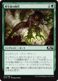 【FOIL】野生林の鉤爪/Talons of Wildwood [M19-JPC]