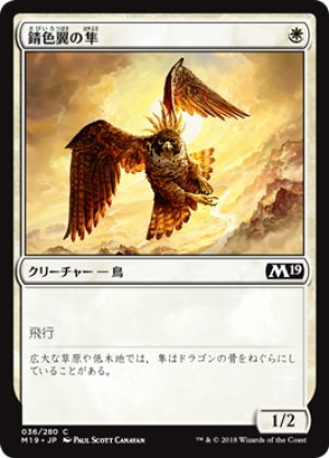 画像1: 錆色翼の隼/Rustwing Falcon [M19-JPC]