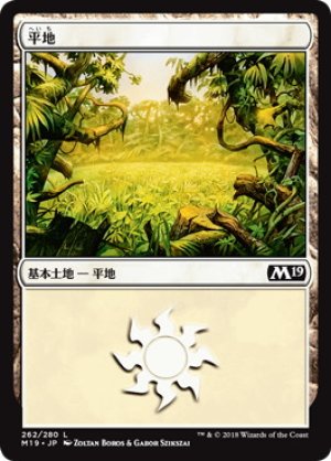 画像1: 【FOIL】平地/Plains ＃262 [M19-JPB]