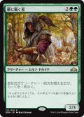 【FOIL】獣に囁く者/Beast Whisperer [GRN-079JPR]