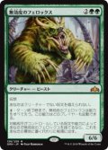 無効皮のフェロックス/Nullhide Ferox [GRN-079JPM]