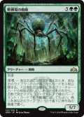 【FOIL】孵卵場の蜘蛛/Hatchery Spider [GRN-079JPR]