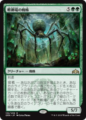 画像1: 孵卵場の蜘蛛/Hatchery Spider [GRN-079JPR]