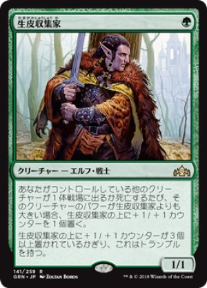 画像1: 【FOIL】生皮収集家/Pelt Collector [GRN-079JPR]