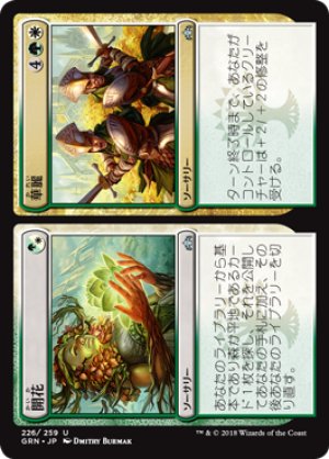 画像1: 開花＋華麗/Flower＋Flourish [GRN-079JPU]