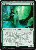 【FOIL】培養ドルイド/Incubation Druid [RNA-080JPR]