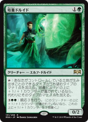 画像1: 【FOIL】培養ドルイド/Incubation Druid [RNA-080JPR]