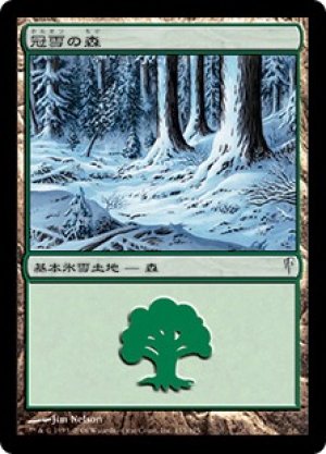 画像1: 冠雪の森/Snow-Covered Forest [CSP-009JPC]