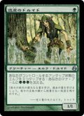 遺産のドルイド/Heritage Druid [MOR-044JPU]