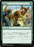 【FOIL】巨大化/Giant Growth [WAR-081JPC]