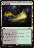 【FOIL】育成泥炭地/Nurturing Peatland [MH1-A15JPR]