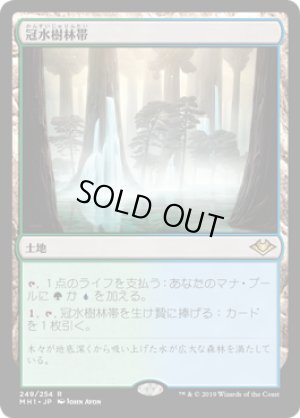 画像1: 【FOIL】冠水樹林帯/Waterlogged Grove [MH1-A15JPR]