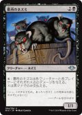 【FOIL】墓所のネズミ/Crypt Rats [MH1-JPU]
