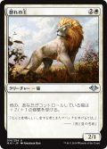 【FOIL】群れの王/King of the Pride [MH1-A15JPU]