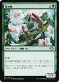 花の壁/Wall of Blossoms [MH1-JPU]