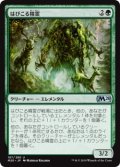 【FOIL】はびこる精霊/Overgrowth Elemental [M20-JPU]