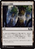 【FOIL】進化する未開地/Evolving Wilds [M20-JPC]