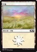 【FOIL】平地/Plains ＃263 [M20-JPB]