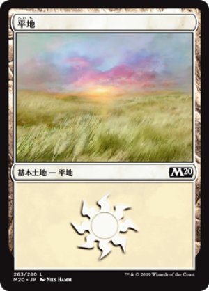 画像1: 【FOIL】平地/Plains ＃263 [M20-JPB]