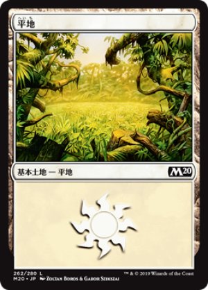 画像1: 【FOIL】平地/Plains ＃262 [M20-JPB]