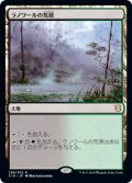 ラノワールの荒原/Llanowar Wastes [C19-JPR]