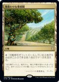 風変わりな果樹園/Exotic Orchard [C19-JPR]
