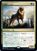 青銅皮ライオン/Bronzehide Lion [THB-083JPR]