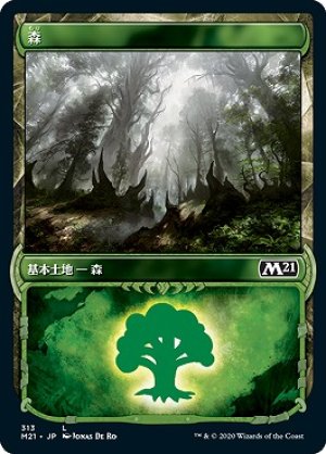 画像1: 【FOIL】【Alternate Frame】森/Forest [M21-JPB]