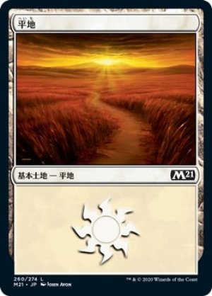 画像1: 【FOIL】平地/Plains ＃260 [M21-JPB]