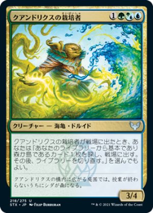 画像1: 【FOIL】クアンドリクスの栽培者/Quandrix Cultivator [STX-087JPU]