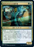 【FOIL】クアンドリクスの初学者/Quandrix Apprentice [STX-087JPU]