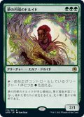 【FOIL】夢の円環のドルイド/Circle of Dreams Druid [AFR-088JPR]