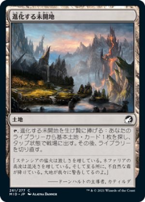 画像1: 【FOIL】進化する未開地/Evolving Wilds [MID-089JPC]