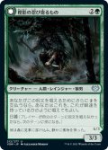 【FOIL】樫影の忍び寄るもの/Oakshade Stalker [VOW-90JPU]