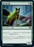 【FOIL】胞子背の狼/Sporeback Wolf [VOW-JPC]