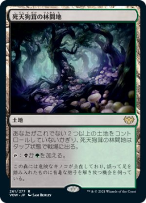 画像1: 死天狗茸の林間地/Deathcap Glade [VOW-90JPR]