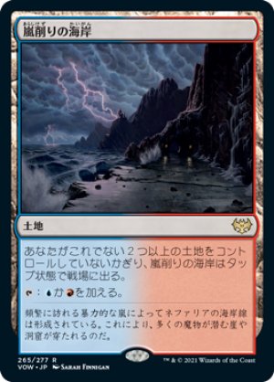 画像1: 嵐削りの海岸/Stormcarved Coast [VOW-90JPR]