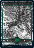 【FOIL】森/Forest ＃276 [VOW-90JPB]