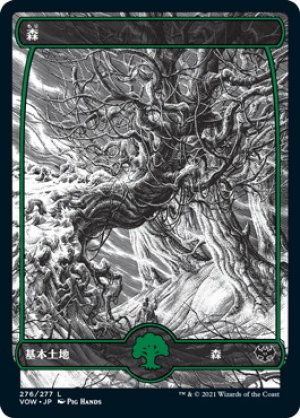 画像1: 【FOIL】森/Forest ＃276 [VOW-90JPB]