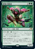 【FOIL】春葉の報復者/Spring-Leaf Avenger [NEO-091JPR]