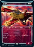 【淡光】蜥蜴丸/Lizard Blades [NEO-JPR]
