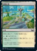 【FOIL】植物広場/Botanical Plaza [SNC-092JPC]