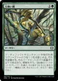 【FOIL】人喰い梢/Carnivorous Canopy [ONE-095JPC]