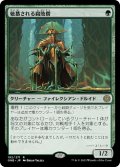 【FOIL】敬慕される腐敗僧/Venerated Rotpriest [ONE-095JPR]