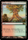 【FOIL】根縛りの岩山/Rootbound Crag [M10-JPR]