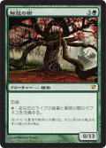 【FOIL】解放の樹/Tree of Redemption [ISD-JPM]