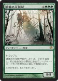 【FOIL】黴墓の大怪物/Moldgraf Monstrosity [ISD-056JPR]