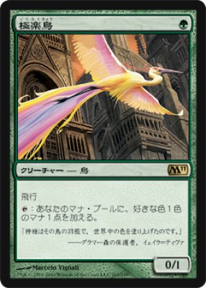 画像1: 極楽鳥/Birds of Paradise [M11-JPR]