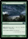 【FOIL】暴風/Windstorm [M10-JPU]