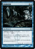 【FOIL】異種移植/Xenograft [NPH-055JPR]